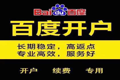 百度推广开户后如何进行数据分析与调整？